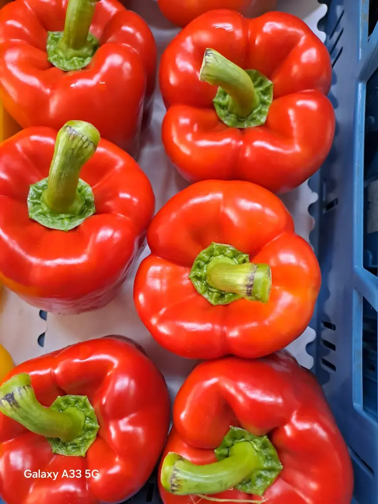 Paprika Rouge 