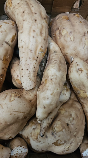 Zoet Patate kg