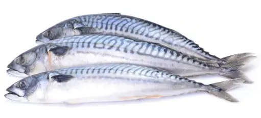 MACKERELI BLUE kg