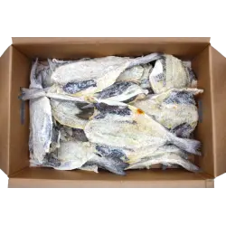 Ambassade Morue 3kg Batlejauw
