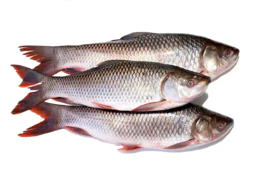 Rohu 2kg