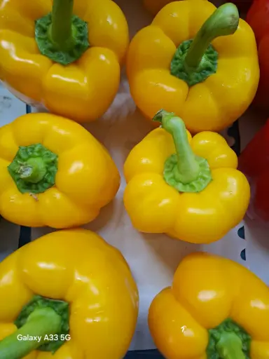 Paprika Jaune