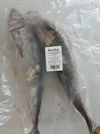 Horse Mackerel 