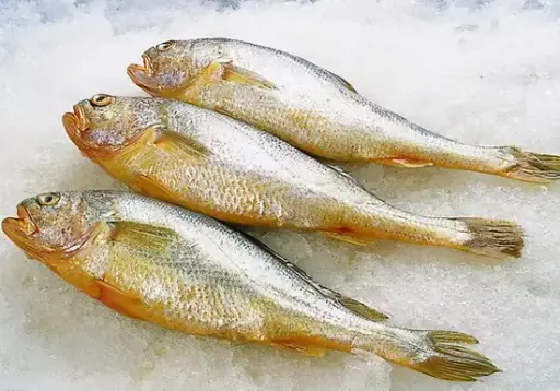 CROAKER YELLOW 400-800G 5KG