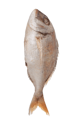 RED FISH DORADE PACKED 600-800 10KG
 