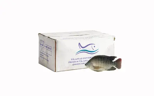TILAPIA BLACK 500-800 4KG Medium