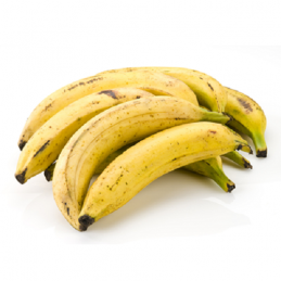 Banane plantijn